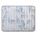 FG33 Exclusive Sealy Mattress (Queen)