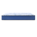 FG33 Exclusive Sealy Mattress (Queen)