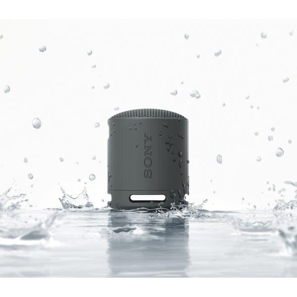 Sony Bluetooth Wireless Speaker SRS-XB100/B IMAGE 8