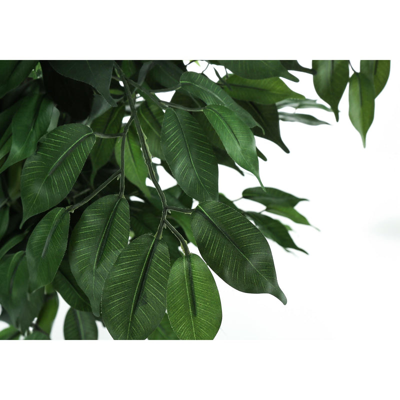 Monarch I 9564 Indoor Ficus Tree IMAGE 3