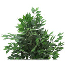 Monarch I 9564 Indoor Ficus Tree IMAGE 4
