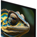  Samsung 32-inch QLED 4K Smart TV QN32Q60DAFXZC IMAGE 8