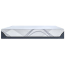 Tempur-Pedic Tempur-ProSense 2.0 Soft 12" Mattress (Queen) IMAGE 5