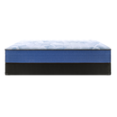 FG33 Exclusive Sealy Mattress (Queen)