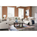 Signature Design by Ashley Danum 3880581C 2 Seat Reclining Sofa IMAGE 14