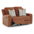 Signature Design by Ashley Danum 3880786C Reclining Loveseat IMAGE 2