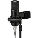Sony Tube Condenser Microphone C-800GPAC1 IMAGE 1