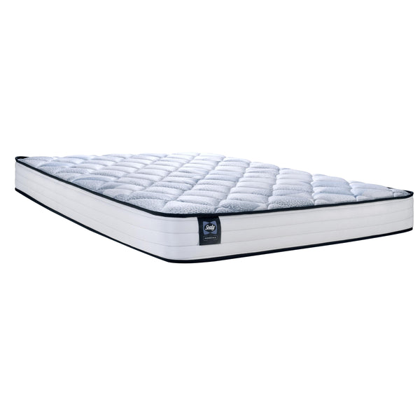 Sealy Wynter Foam Tight Top Mattress (Twin XL) IMAGE 1