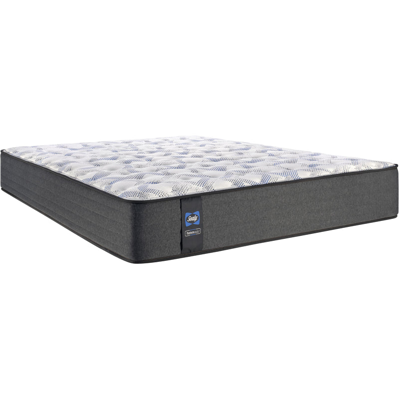 Sealy Selena Firm Tight Top Mattress (Queen) IMAGE 1