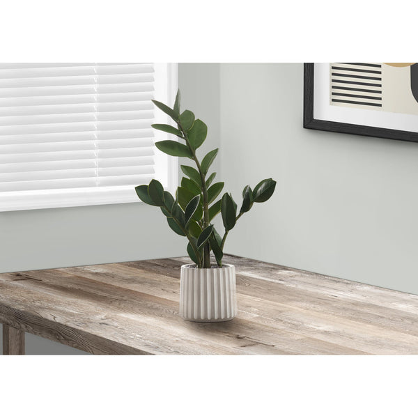 Monarch I 9500 20"H - Indoor Zz In A 5" Cement Pot IMAGE 1