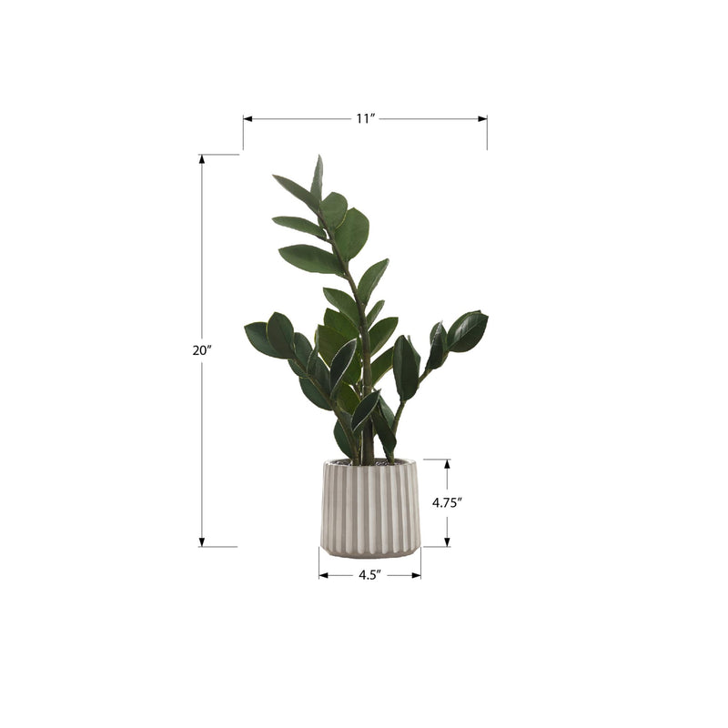 Monarch I 9500 20"H - Indoor Zz In A 5" Cement Pot IMAGE 6