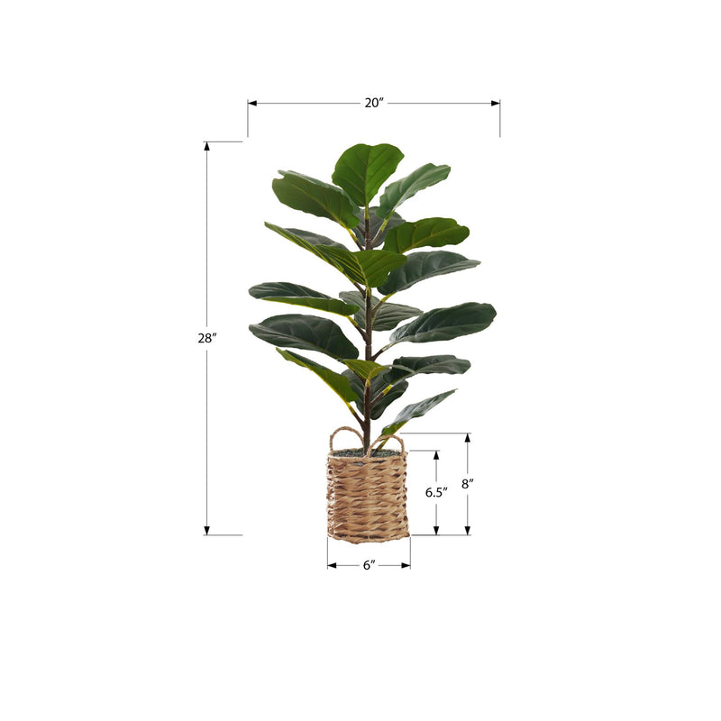 Monarch I 9505 28"H - Indoor Fiddle/8" Woven Basket IMAGE 6