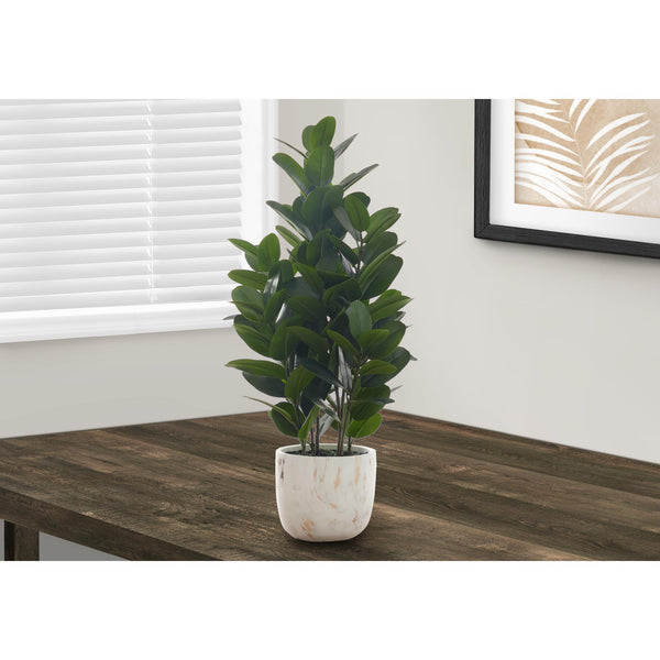 Monarch I 9507 31"H - Indoor Garcinia In A 7" Pot IMAGE 1