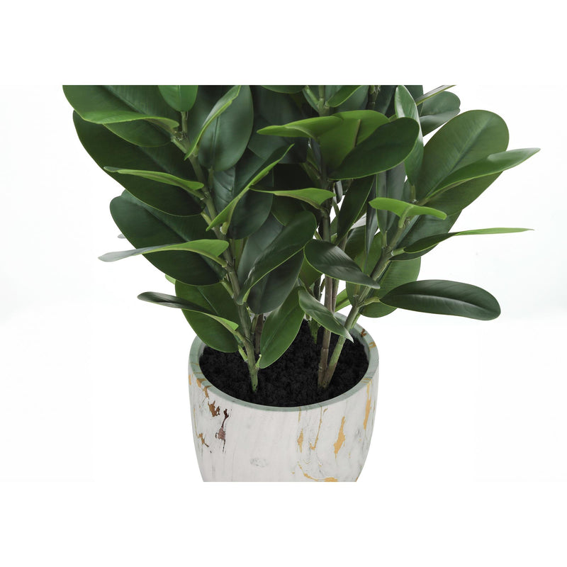 Monarch I 9507 31"H - Indoor Garcinia In A 7" Pot IMAGE 3