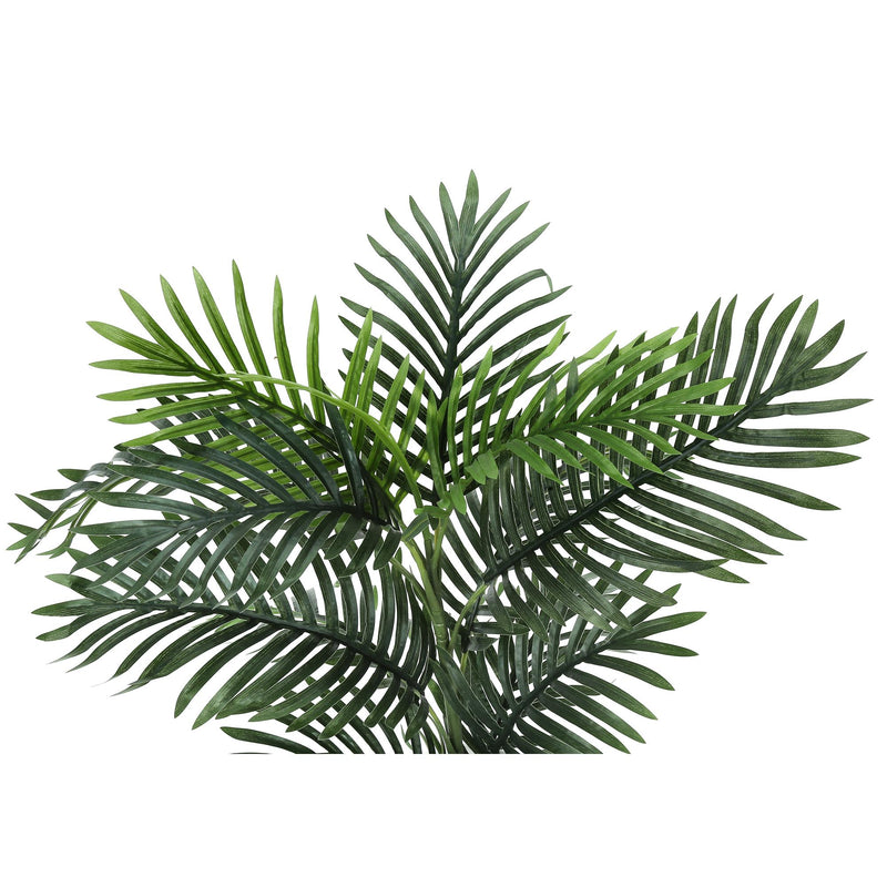 Monarch I 9508 28"H - Indoor Palm In A 6" Pot IMAGE 5