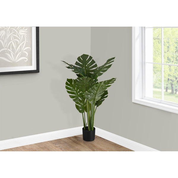 Monarch I 9510 45"H - Indoor Monstera In A 6" Pot IMAGE 1
