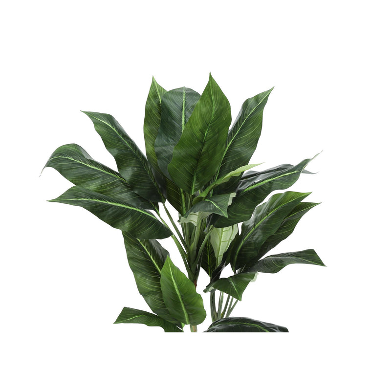 Monarch I 9512 42"H - Indoor Evergreen In A 5" Pot IMAGE 5