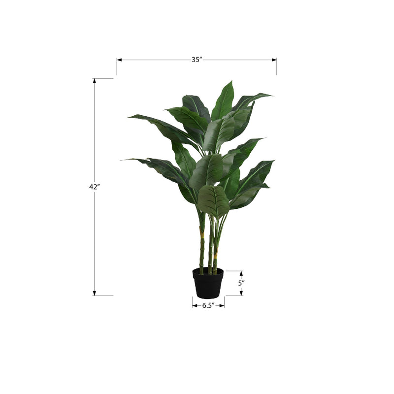 Monarch I 9512 42"H - Indoor Evergreen In A 5" Pot IMAGE 6