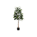 Monarch I 9514 52"H - Indoor Rubber Tree In A 5" Pot IMAGE 2