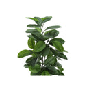 Monarch I 9514 52"H - Indoor Rubber Tree In A 5" Pot IMAGE 5