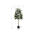 Monarch I 9514 52"H - Indoor Rubber Tree In A 5" Pot IMAGE 6