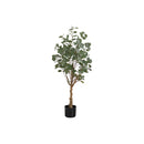 Monarch I 9518 46"H - Indoor Eucalyptus Tree/ 5" Pot IMAGE 2