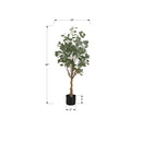 Monarch I 9518 46"H - Indoor Eucalyptus Tree/ 5" Pot IMAGE 6