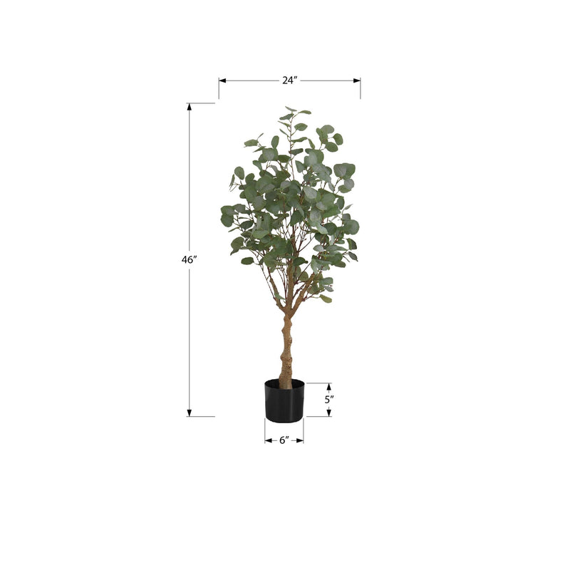 Monarch I 9518 46"H - Indoor Eucalyptus Tree/ 5" Pot IMAGE 6