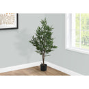 Monarch I 9520 47"H - Indoor Acacia Tree In A 5" Pot IMAGE 1