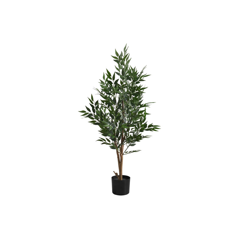 Monarch I 9520 47"H - Indoor Acacia Tree In A 5" Pot IMAGE 2