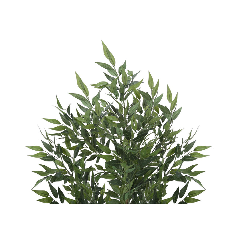 Monarch I 9520 47"H - Indoor Acacia Tree In A 5" Pot IMAGE 5