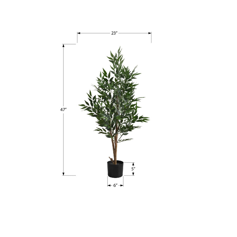 Monarch I 9520 47"H - Indoor Acacia Tree In A 5" Pot IMAGE 6