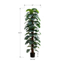 Monarch I 9521 83"H - Indoor Monstera Tree/8" Pot IMAGE 3