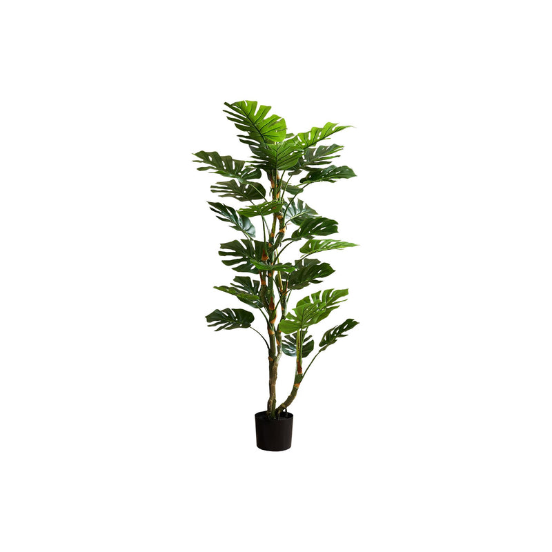 Monarch I 9522 61"H - Indoor Monstera Tree/7" Pot IMAGE 2