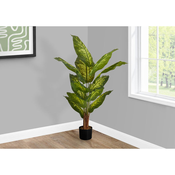 Monarch I 9535 47"H - Indoor Evergreen In A 5" Pot IMAGE 1