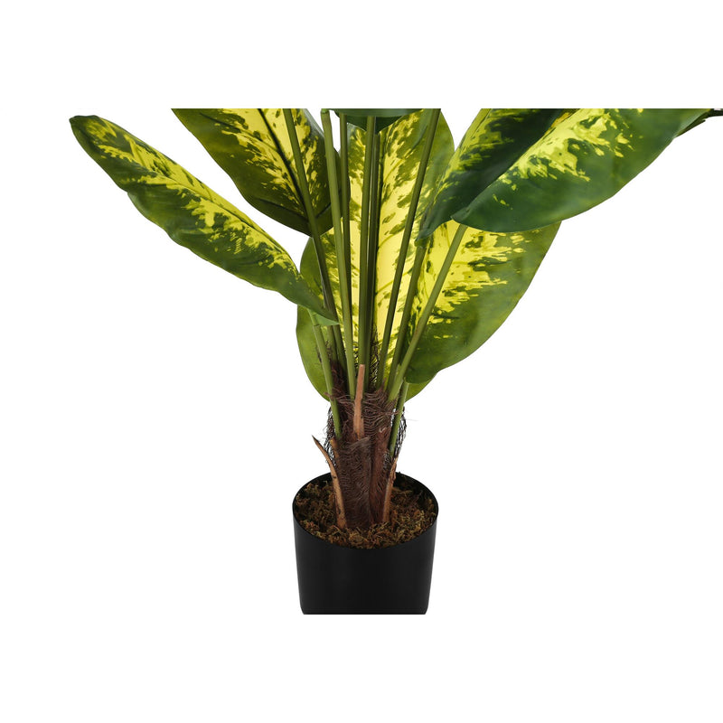 Monarch I 9535 47"H - Indoor Evergreen In A 5" Pot IMAGE 3