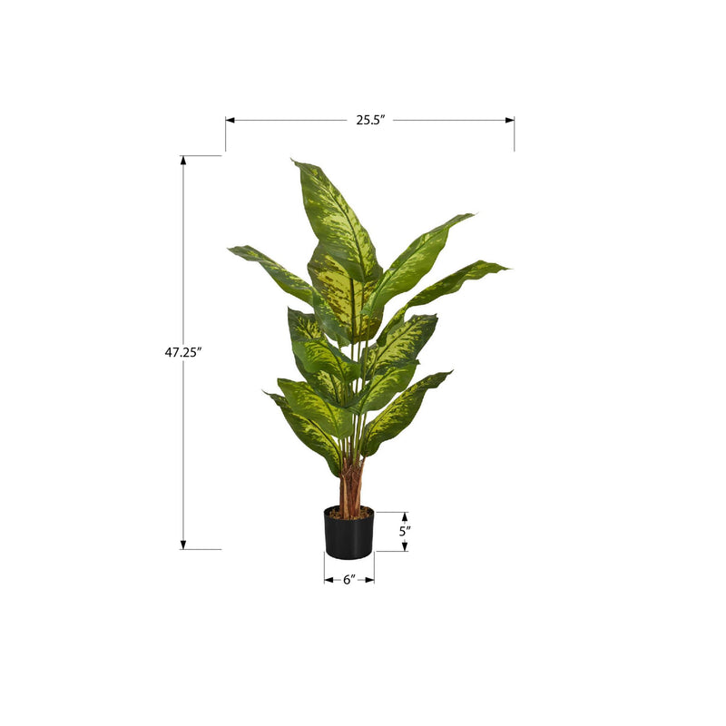 Monarch I 9535 47"H - Indoor Evergreen In A 5" Pot IMAGE 6