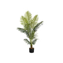Monarch I 9536 57"H - Indoor Palm Tree In A 5" Pot IMAGE 2