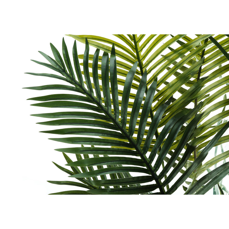 Monarch I 9536 57"H - Indoor Palm Tree In A 5" Pot IMAGE 4