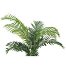 Monarch I 9536 57"H - Indoor Palm Tree In A 5" Pot IMAGE 5