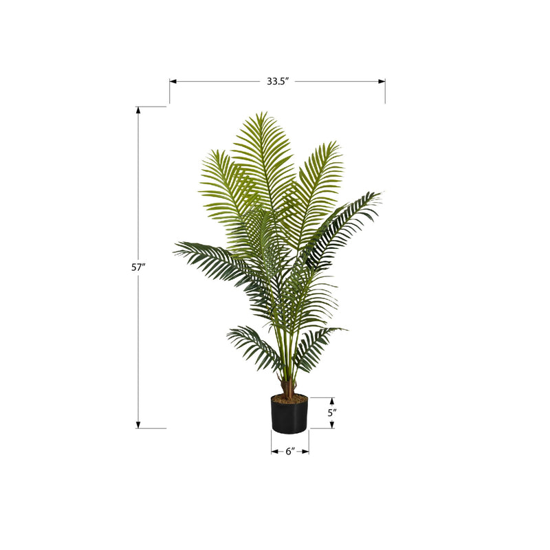 Monarch I 9536 57"H - Indoor Palm Tree In A 5" Pot IMAGE 6