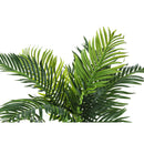Monarch I 9539 34"H - Indoor Palm Tree In A 5" Pot IMAGE 5