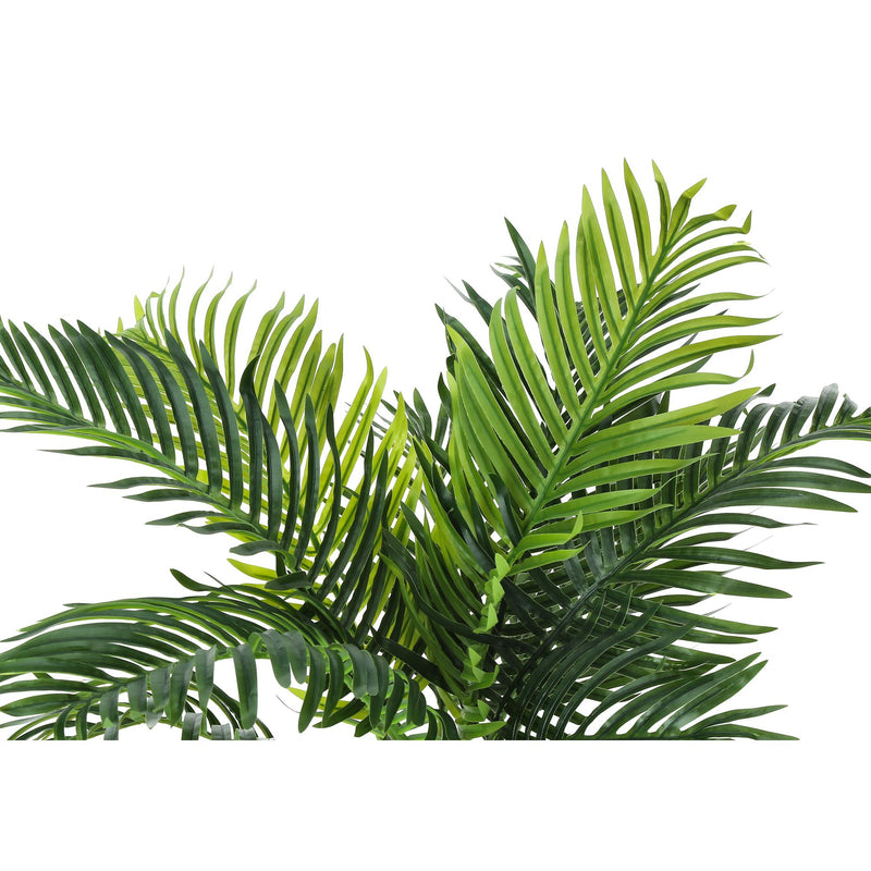 Monarch I 9539 34"H - Indoor Palm Tree In A 5" Pot IMAGE 5