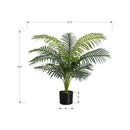 Monarch I 9539 34"H - Indoor Palm Tree In A 5" Pot IMAGE 6