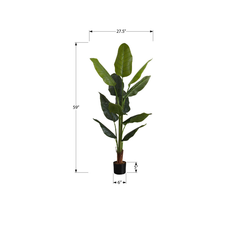 Monarch I 9545 59"H - Indoor Strelitzia In A 5" Pot IMAGE 6