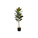 Monarch I 9547 40"H - Indoor Rubber Tree In A 5" Pot IMAGE 2