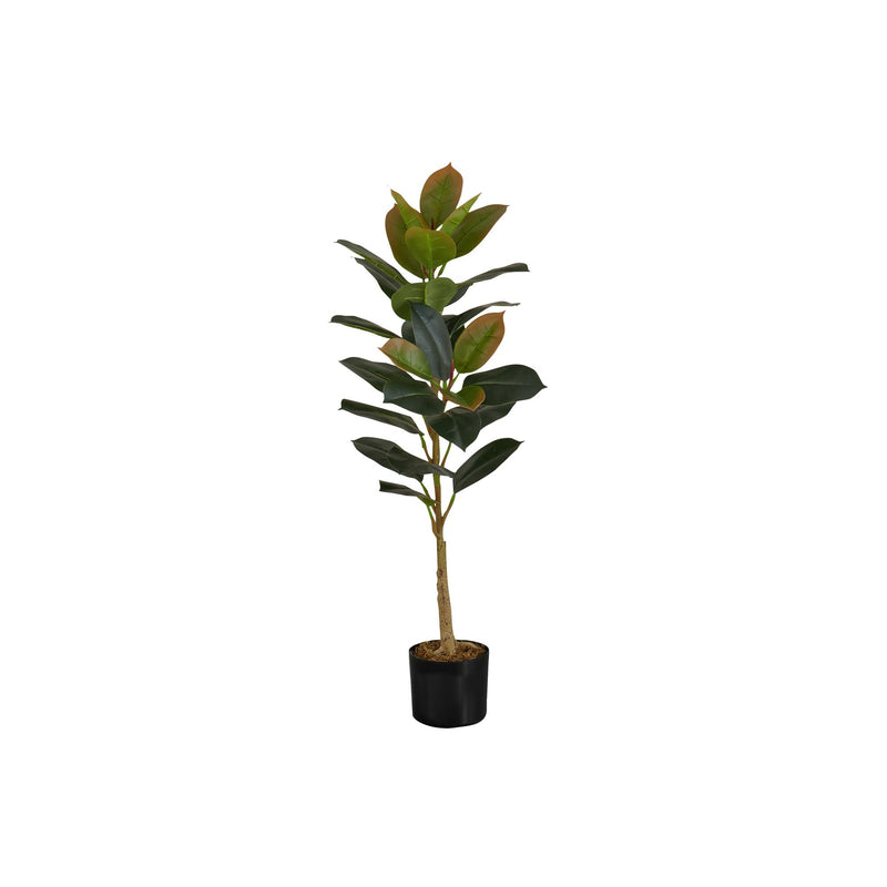 Monarch I 9547 40"H - Indoor Rubber Tree In A 5" Pot IMAGE 2