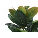 Monarch I 9547 40"H - Indoor Rubber Tree In A 5" Pot IMAGE 4
