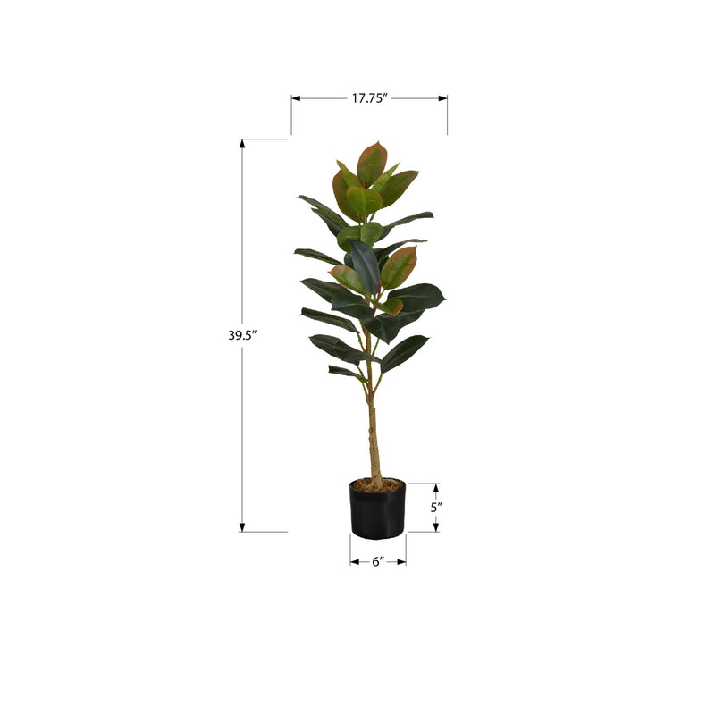 Monarch I 9547 40"H - Indoor Rubber Tree In A 5" Pot IMAGE 6