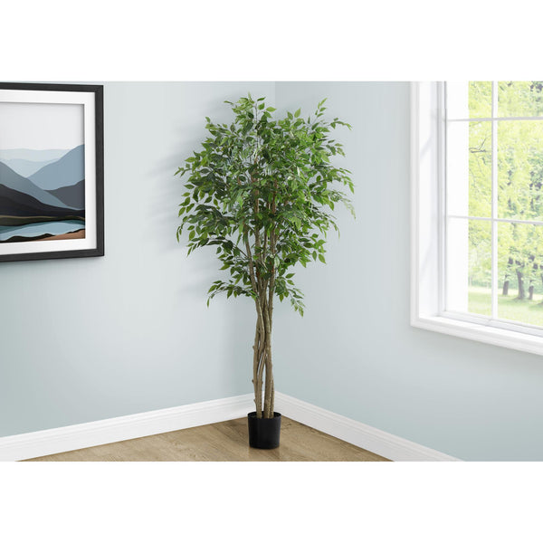 Monarch I 9549 79"H - Indoor Ficus Tree In A 8" Pot IMAGE 1